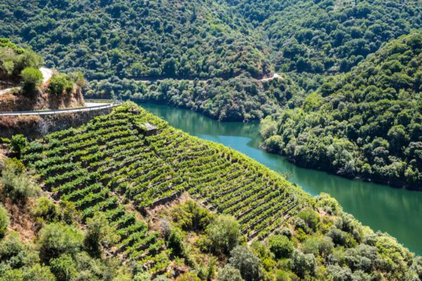 Excursiones Ribeira Sacra desde Ourense