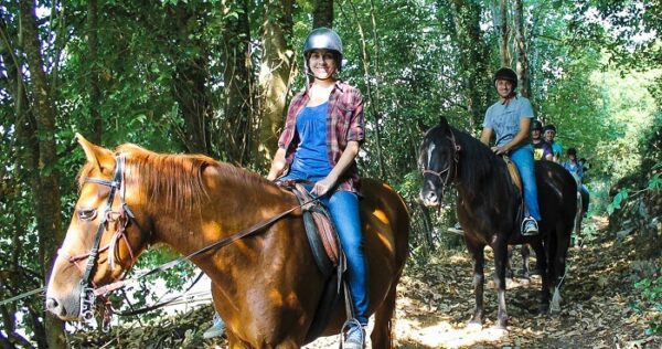 Excursiones a caballo en Gijón