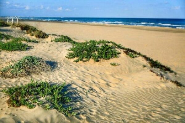 Excursiones desde Canet de Berenguer