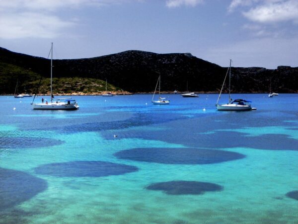 excursiones cabrera playa barco