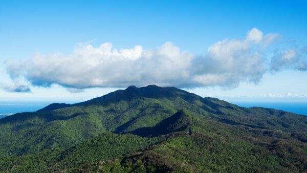 El Yunque